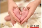 试管婴儿移植是冻胚成功率高，还是鲜胚成功
